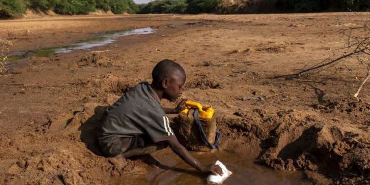 Bambini ed estremi: il caldo riguarda mezzo miliardo di minori