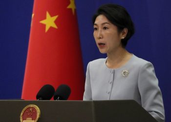 Cina garantisce ispettori tedeschi sulla legge antispionaggio