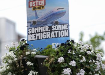 Elezioni Brandeburgo: AfD in testa nei sondaggi in Germania