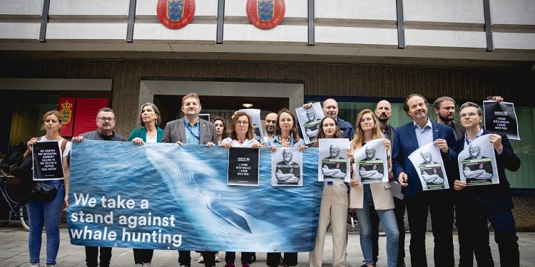 Eurodeputati chiedono rilascio di Paul Watson contro balene
