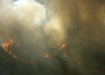 Funerale dei vigili del fuoco morti in Portogallo per incendi