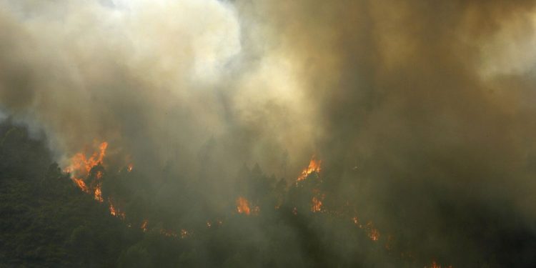 Funerale dei vigili del fuoco morti in Portogallo per incendi