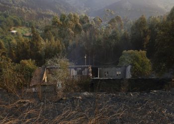 Incendi in Portogallo: lutto nazionale per le vittime