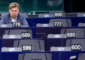 Indipendenti al Parlamento europeo: chi sono gli eurodeputati?