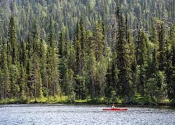 Lapponia estate 2023: temperature record mai viste prima