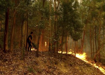 Portogallo: 100 incendi, 7 vittime tra cui 4 vigili del fuoco