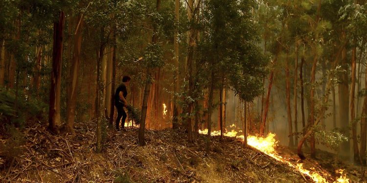 Portogallo: 100 incendi, 7 vittime tra cui 4 vigili del fuoco