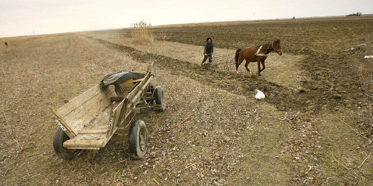 Romania: ondate di calore prosciugano laghi e colture
