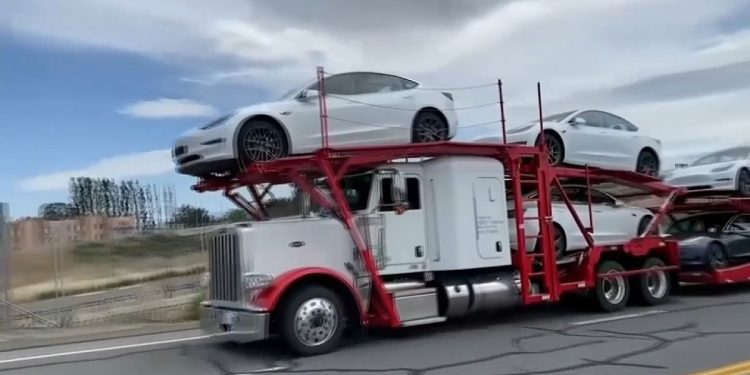 Ue riduce dazi su Tesla elettrici dalla Cina: effetti sui prezzi