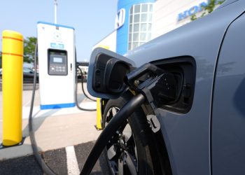Zeebrugge: Porto belga bloccato da surplus di auto elettriche
