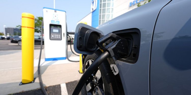 Zeebrugge: Porto belga bloccato da surplus di auto elettriche