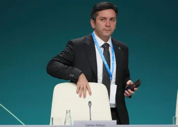 Cop 29: articolo 6, controversie sui crediti di carbonio