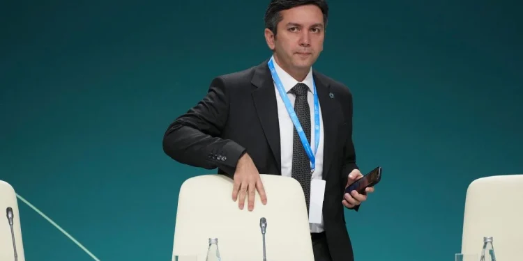 Cop 29: articolo 6, controversie sui crediti di carbonio