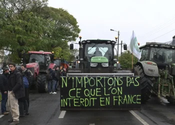 Francia mobilita minoranza blocco contro accordo Mercosur