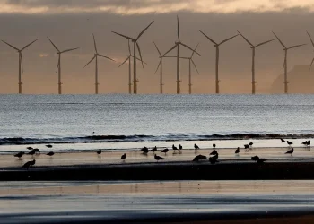La Svezia boccia 13 progetti di parchi eolici offshore per sicurezza