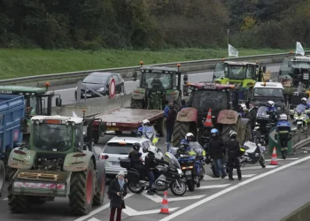 Problemi agricoltori UE accordo libero scambio Mercosur