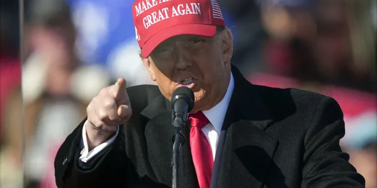 Trump deluso da Julia Roberts per spot di Kamala Harris