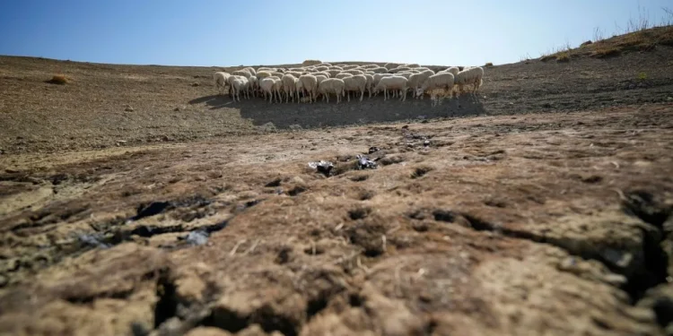 Desertificazione: 75% delle terre emerse inaridite permanentemente