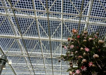 Nel 2024 il solare supera il carbone: svolta rinnovabili Ue