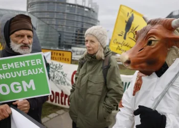 Polonia spinge per deregolamentazione Ogm e Ngt nell’Ue