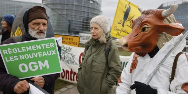 Polonia spinge per deregolamentazione Ogm e Ngt nell’Ue