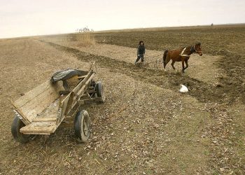 Romania: ondate di calore prosciugano laghi e colture